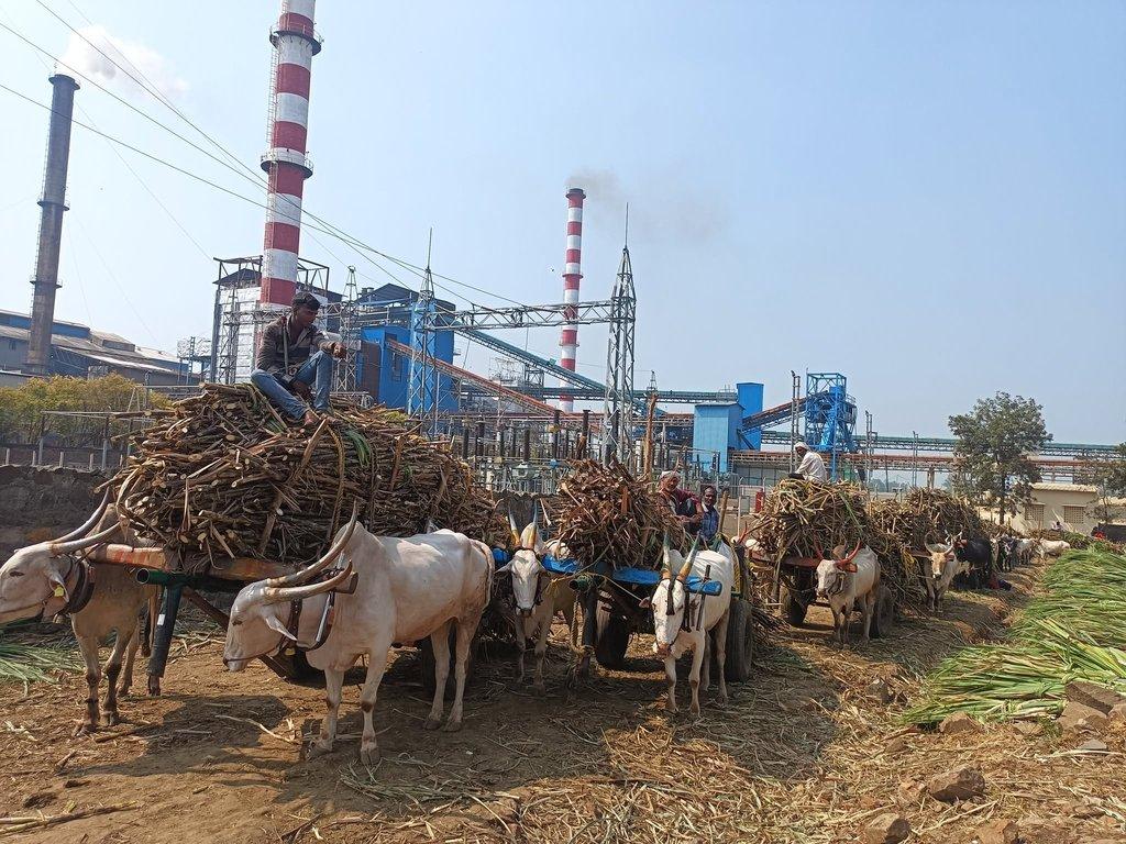 Which Is the Best ERP for Sugar Industry in 2026? A Complete Guide for Sugar Mills - Cover Image